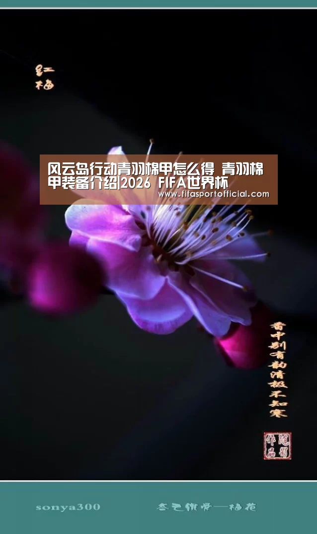风云岛行动青羽棉甲怎么得 青羽棉甲装备介绍|2026 FIFA世界杯(图1)