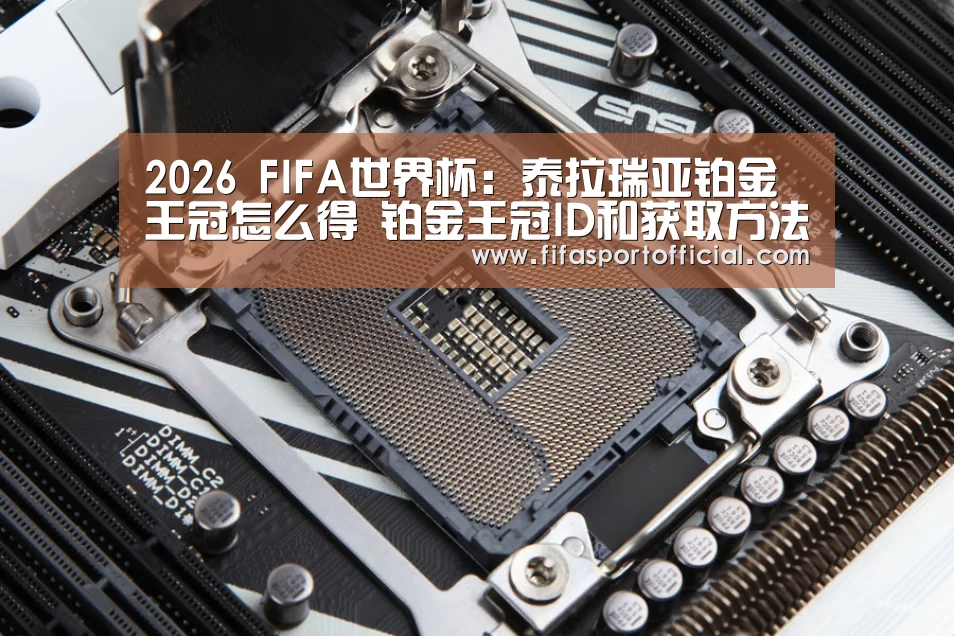 2026 FIFA世界杯
